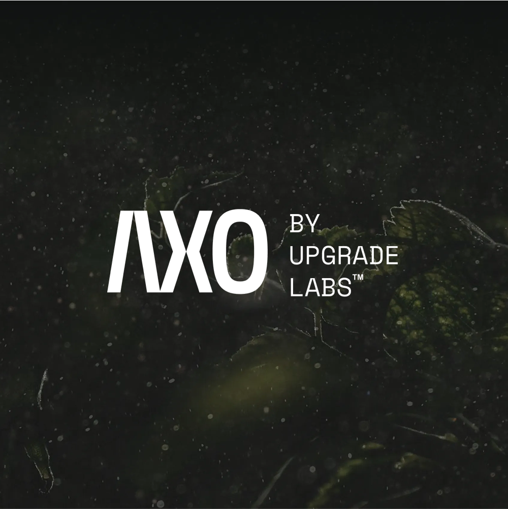 AXO By Upgrade Labs